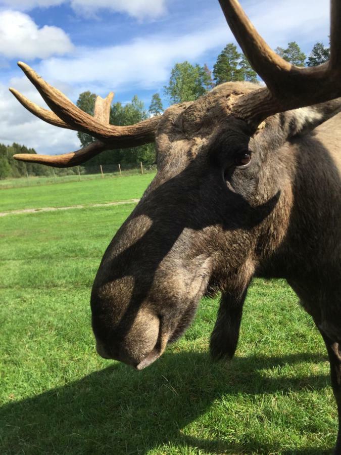 Ferienhaus Am Mycklaflon Eksjö Eksteriør bilde